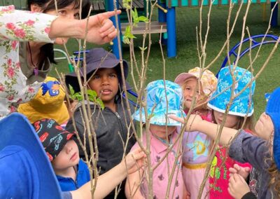 Nambour Preschool Near Me