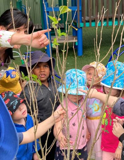 Nambour Preschool Near Me